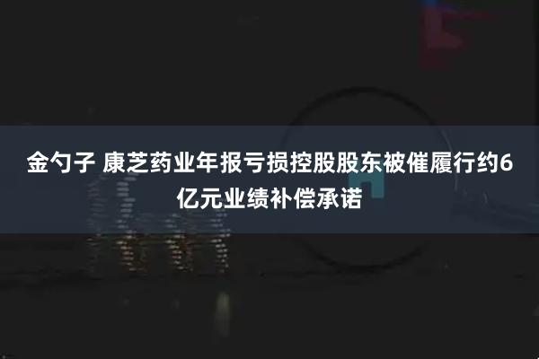 金勺子 康芝药业年报亏损控股股东被催履行约6亿元业绩补偿承诺